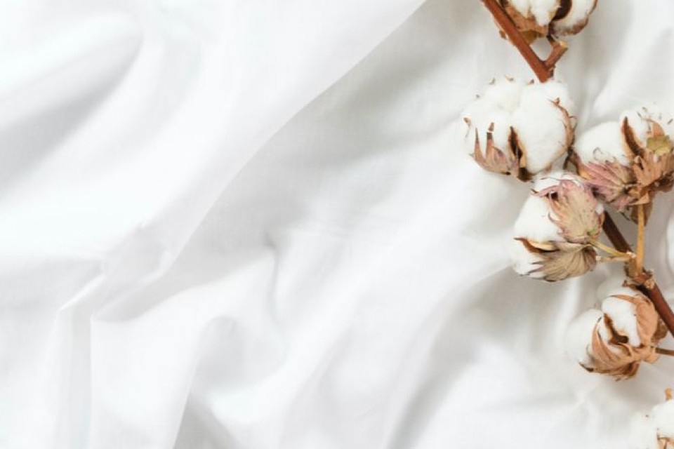 What makes Egyptian Cotton so special?